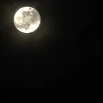 Sud Est 3* Carmiano (Apulia)